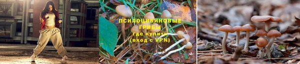 первитин Горно-Алтайск