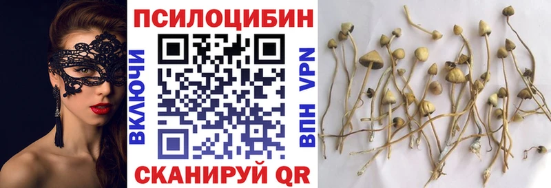 Купить закладки  Лесозаводск  Галлюциногенные грибы GOLDEN TEACHER 